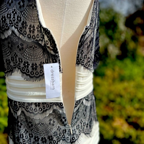 Elegant Lace Dress (dress barn ) - Picture 5 of 7